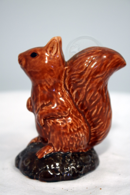 Squirrel Miniature front image